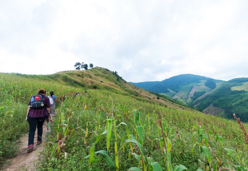 Group,Of,Hiking,In,Doi,Phu,Kha,National,Park,,Phu