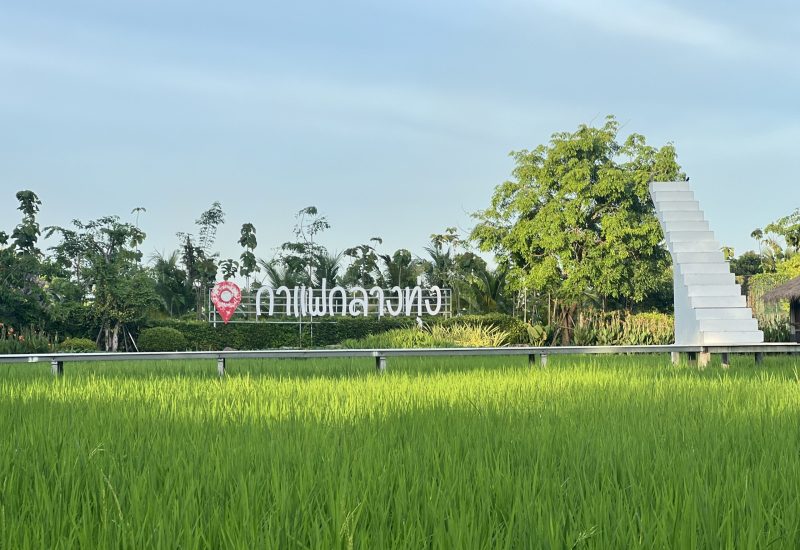 05-ลั่นล๊ากับม่ามี๊-Eat-เฟรนด์คาเฟ่ กาแฟกลางทุ่ง