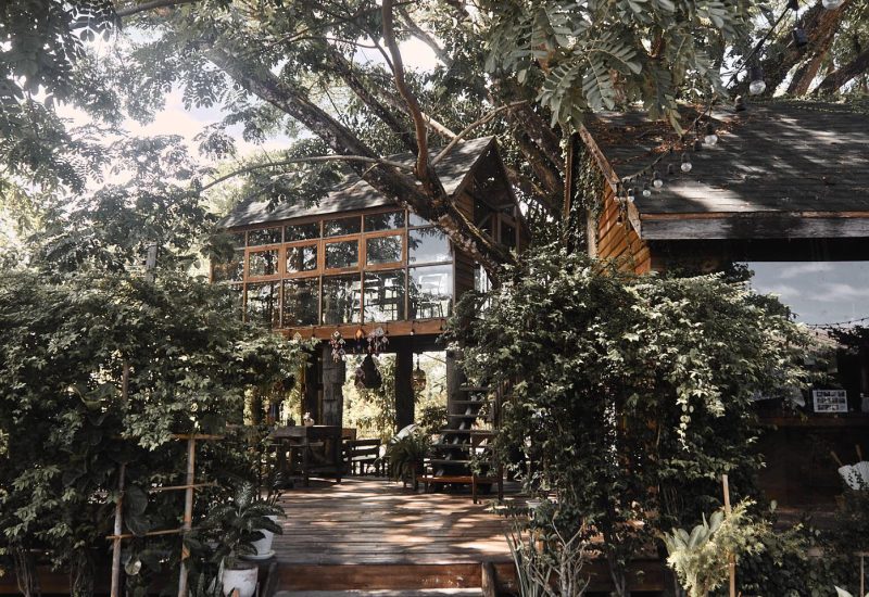 10-burnoutbreak-eat-เดนิน คาเฟ่