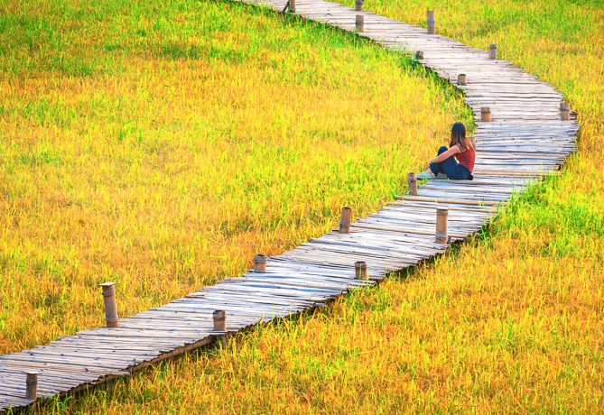 Wooden walkway on rice field in Nakhon nayok prpvince ,Thailand