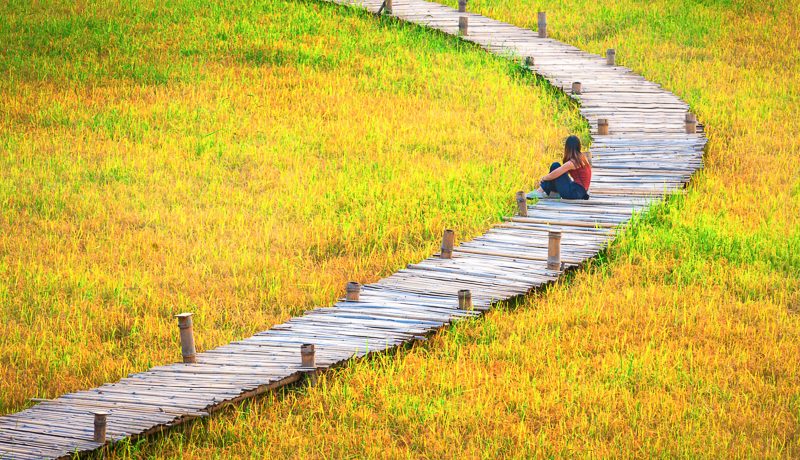 Wooden walkway on rice field in Nakhon nayok prpvince ,Thailand. Wooden walkway on rice field in Nakhon nayok prpvince ,Thailand