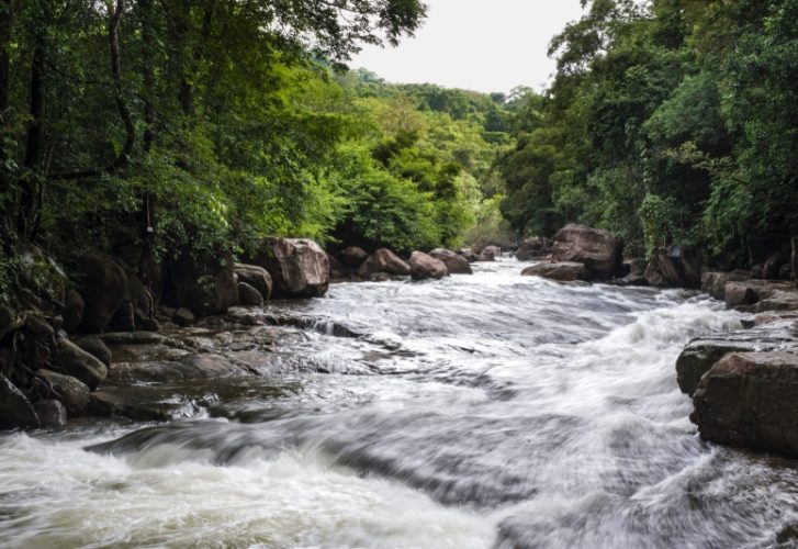 Thanthip Waterfall, it's located in Khao Yai National Park, Prachin Buri *** Local Caption *** à¸™à¹‰à¸³à¸•à¸à¸˜à¸²à¸£à¸—à¸´à¸žà¸¢à¹Œ à¹ƒà¸™à¹€à¸‚à¸•à¸­à¸¸à¸—à¸¢à¸²à¸™à¹à¸«à¹ˆà¸‡à¸Šà¸²à¸•à¸´à¹€à¸‚à¸²à¹ƒà¸«à¸à¹ˆ à¸ˆà¸±à¸‡à¸«à¸§à¸±à¸”à¸›à¸£à¸²à¸ˆà¸µà¸™à¸šà¸¸à¸£à¸µ