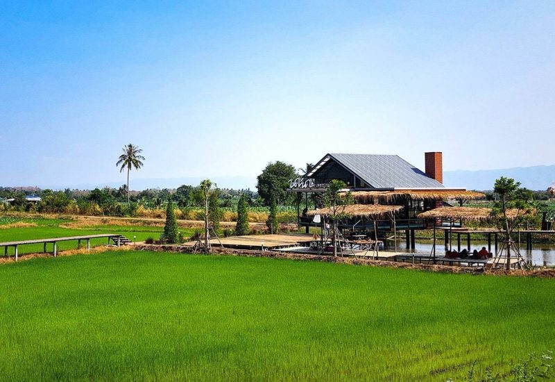 12-burnoutbreak-eat-นานาคาเฟ่