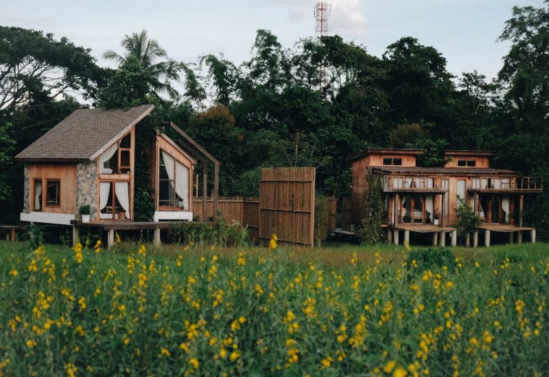 13-Digital Detox-Read & Breath-บ้านนาก๋างโต้ง