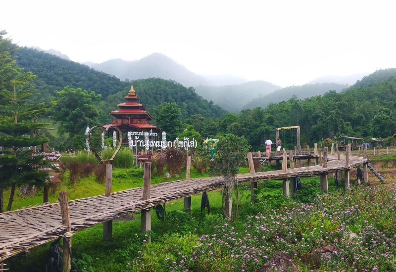 01-ธ.ก.ส.-บ้านแพมบก