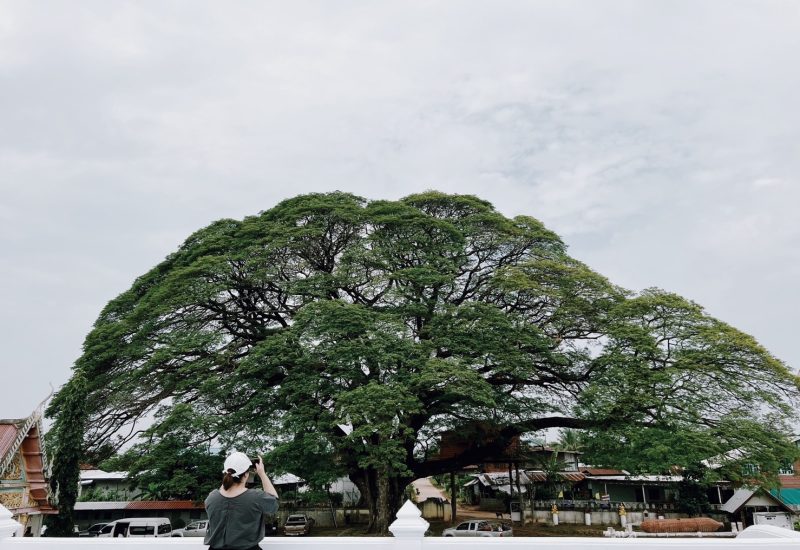 04-สวธ-ชุมชนบ้านพลไท