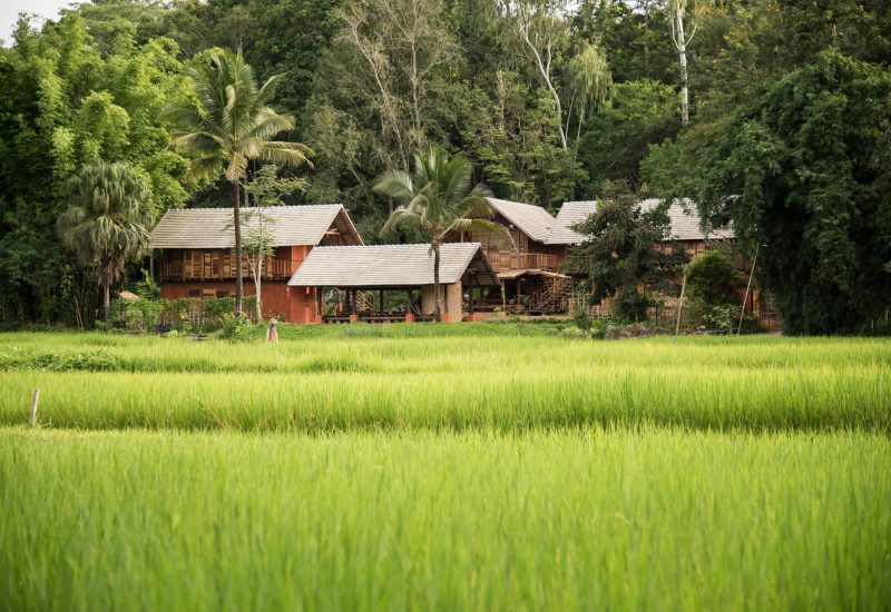 15-Digital Detox-Natural Bond-อาสา ฟาร์มสเตย์